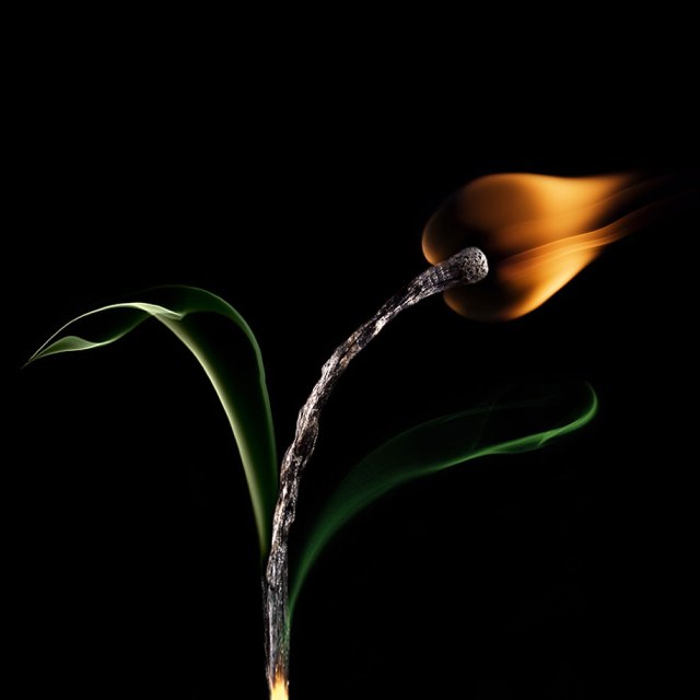 Burnt Matchstick Art Stanislav Aristov 6