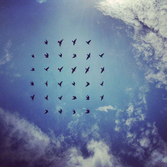 shaun kardinal  flying formation 7
