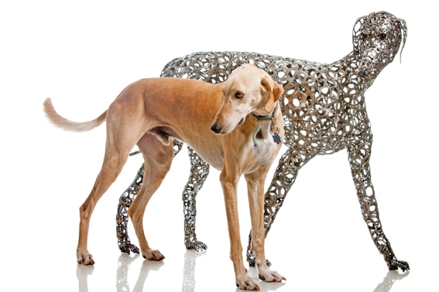 Dog Sculptures Nirit Levav Packer 10