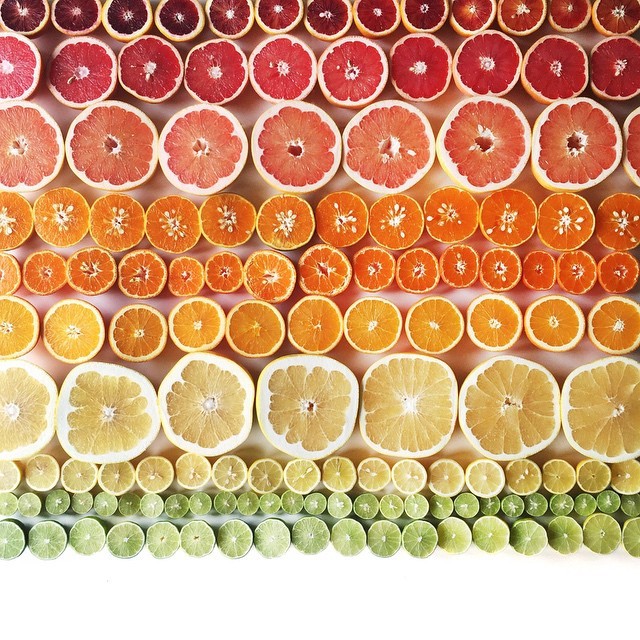 food gradients Brittany Wright